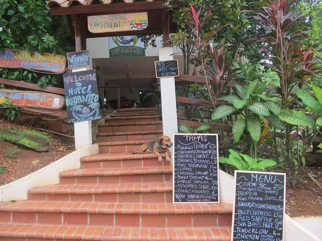Hotel Iguanito 圣卡塔利娜岛 外观 照片